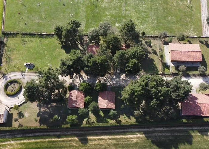 Casitas Del Pinar 펜션 Bayubas de Abajo