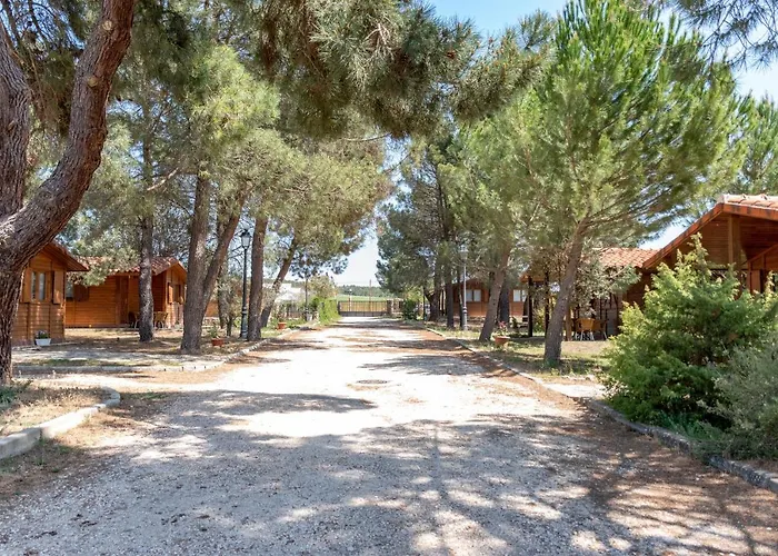 펜션 Casitas Del Pinar